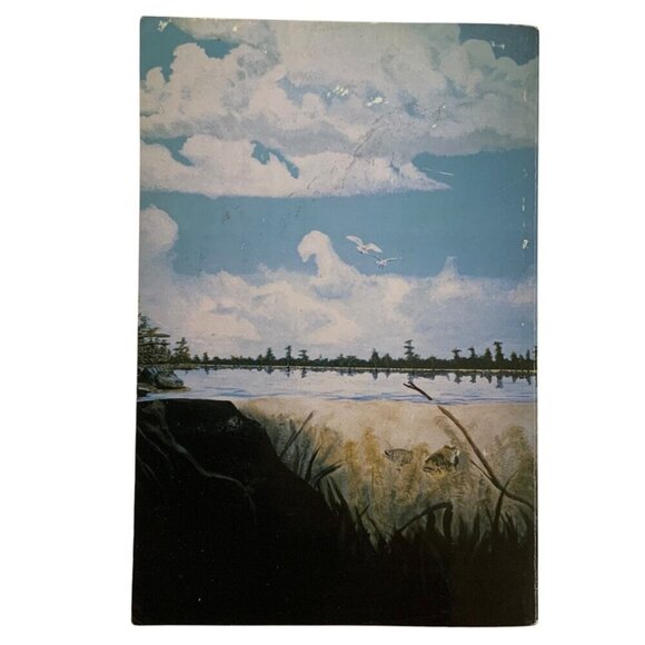 Vintage Pots Pans & Pioneers Volume IV Cookbook Louisiana Recipes Paperback 1993 - Picture 3 of 11